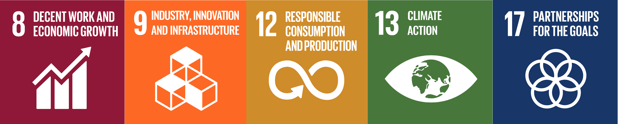 Förderung der UN-SDGs